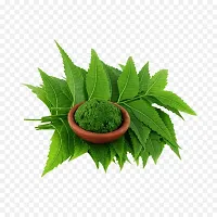 Natural Live Plant for Home Garden-thumb1