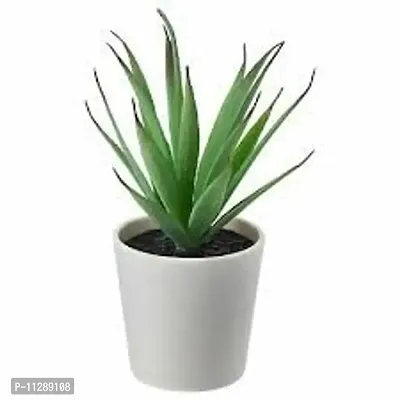 graidient span FEJKA Artificial Potted Plant with Pot, in/Outdoor Succulent6 cm (2 ?"")