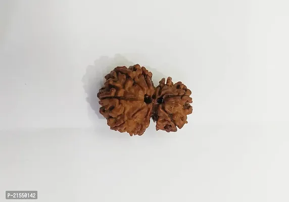 Natural 7 Mukhi Rudraksh (1 Piece)