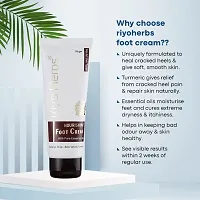 Riyo Herbs Foot Cream for Cracked Heel Repair  Smooth Foot, with Turmeric and Aloevera-thumb2