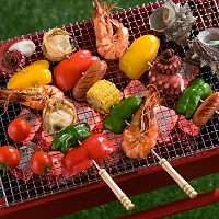 BBQ Skewers Tandoor for Barbecue, Grill | Stainless Steel Stick with Wooden Handle, Pack of 12-thumb4