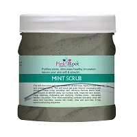 Pink Root Mint Scrub Enriched With Multi-Fruit Enzyme - 500 ml-thumb1