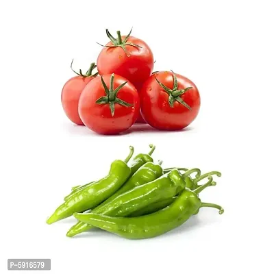 Tomato and Chili Combo Pack for Home and Kitchen Garden 50-50 Seeds