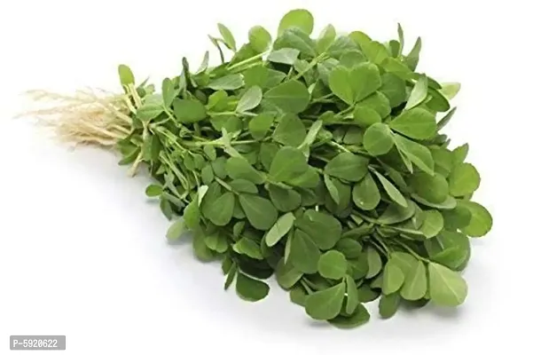fenugreek Seeds Methi for Home and Kitchen Gardening Pack of 2000 Seeds