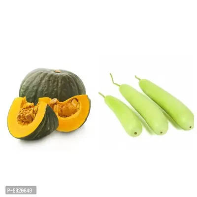 Pumpkin and Bottle Gourd Seeds Combo Pack for Home and Kitchen Garden Pack of 15-15 Seeds