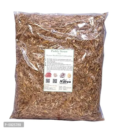 Paddy Straw for Oyster Mushroom Cultivation 800 Gram-thumb0