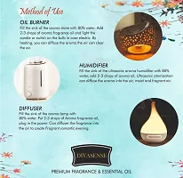 Beautiful Electric Buddha Aroma Oil Diffuser with Aroma Oil(15 Ml)-thumb1