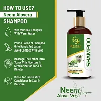 Aalman Professional Neem And Aloevera Shampoo For Dry Weak, Dull Hair- Pack Of 2-thumb2