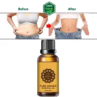 Graceberry Fat Loss Oil, Belly Drainage Ginger Oil 150 ML,Tummy Ginger  for Lymphatic Drainage,Arnica Oil,100% Natural  (Pack of 1)-thumb2
