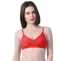 In Beauty Cotton Bra Pack of 6-thumb1