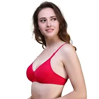 In Beauty Women's T- Shirt Bra (Pack of 6) Multicolor-thumb2