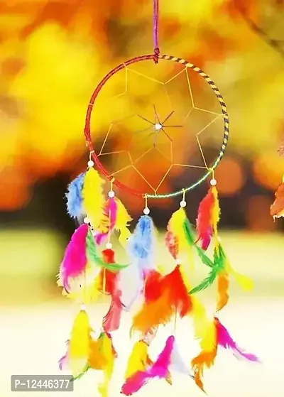 Stylish Feather Elegant Dream Catcher-thumb0