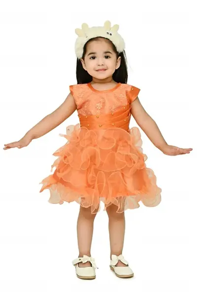 Partywear Net Dress for Girls