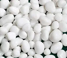 Bum Bum Bhole 2.5Kg Natural Polished Pebble Stones (White Polished) Terrarium|Succulents|Garden Pots|Gardening|Bamboo Plants  Multi Purpose Pack-thumb2