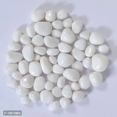 Bum Bum Bhole 2.5Kg Natural Polished Pebble Stones (White Polished) Terrarium|Succulents|Garden Pots|Gardening|Bamboo Plants  Multi Purpose Pack-thumb0