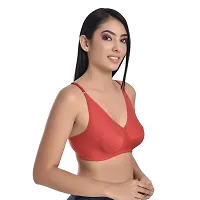 Body Liv Women Cotton Hosiery Lycra Non Padded Non-Wired Regular Bra (Pack of 3, Multicolor)-thumb1