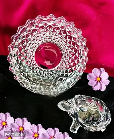 Dhurav Creation Crystal Tortoise with Plate for Good Luck Feng Shui Tortoise Perfect Best Gift for Your Love One-thumb3