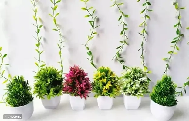 Decorative Artificial Multi Color Bosai Wild Plants Pack Of - 6 Size - 20 Cm , 22 Cm