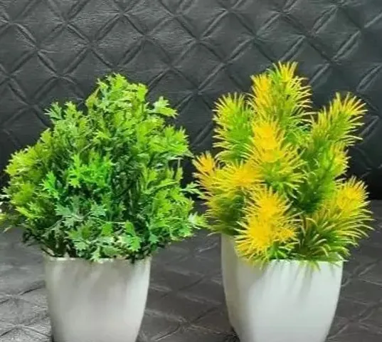 New Arrival Plant & Planters 