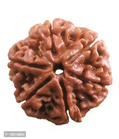 CHEZEL? 6 MUKHI Nepal RUDRAKSHA (6 Faced) Lab Certified Nepal Bead Sinks in Water for Unisex Wearing