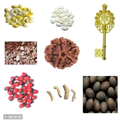 CHEZEL Combo of White Cowrie Yellow Cowry Lotus Seed Rakt gunja (11 Pcs) Kamiya Sindoor(5 GMS) Kali haldi Dry (5pcs) 5 mukhi rudraksha and Kuber kunji 1 pcs(Multicolor)-thumb0