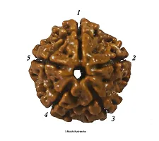 CHEZEL? 5 MUKHI Nepal RUDRAKSHA (5 Faced) Lab Certified Nepal Bead Sinks in Water for Unisex Wearing-thumb1