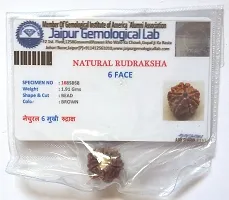 CHEZEL? 6 MUKHI Nepal RUDRAKSHA (6 Faced) Lab Certified Nepal Bead Sinks in Water for Unisex Wearing-thumb2