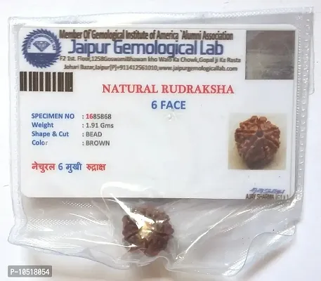 CHEZEL? 6 MUKHI Nepal RUDRAKSHA (6 Faced) Lab Certified Nepal Bead Sinks in Water for Unisex Wearing-thumb3