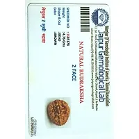 CHEZEL 2 Mukhi Lab Certified Rudraksha (Brown)-thumb1