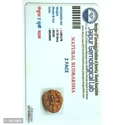 CHEZEL 2 Mukhi Lab Certified Rudraksha (Brown)-thumb2