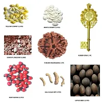 CHEZEL Combo of White Cowrie Yellow Cowry Lotus Seed Rakt gunja (11 Pcs) Kamiya Sindoor(5 GMS) Kali haldi Dry (5pcs) 5 mukhi rudraksha and Kuber kunji 1 pcs(Multicolor)-thumb1