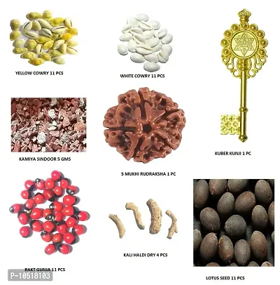 CHEZEL Combo of White Cowrie Yellow Cowry Lotus Seed Rakt gunja (11 Pcs) Kamiya Sindoor(5 GMS) Kali haldi Dry (5pcs) 5 mukhi rudraksha and Kuber kunji 1 pcs(Multicolor)-thumb2