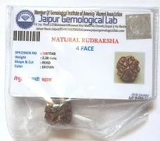 CHEZEL? Combo of 2 mukhi to 6 mukhi RUDRAKSHA lab Certified (Brown)-thumb4