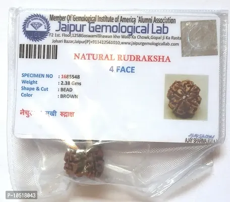 CHEZEL? Combo of 2 mukhi to 6 mukhi RUDRAKSHA lab Certified (Brown)-thumb5