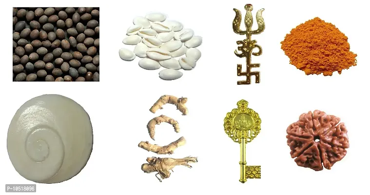 CHEZEL? Combo of Lotus Seed White LAXMI Cowry GOMTI Chakra (21 PCS Each) Kali HALDI Dry 4 PCS TRISHAKTI Yantra KUBER KUNJI 6 MUKHI RUDRAKSHA (1 PC Each) ASTAGANDHA Chandan 25 GMS