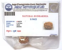 CHEZEL? Combo of 2 mukhi to 6 mukhi RUDRAKSHA lab Certified (Brown)-thumb3