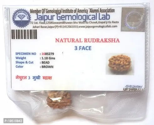 CHEZEL? Combo of 2 mukhi to 6 mukhi RUDRAKSHA lab Certified (Brown)-thumb4