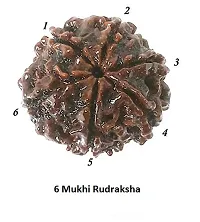 CHEZEL? 6 MUKHI Nepal RUDRAKSHA (6 Faced) Lab Certified Nepal Bead Sinks in Water for Unisex Wearing-thumb3