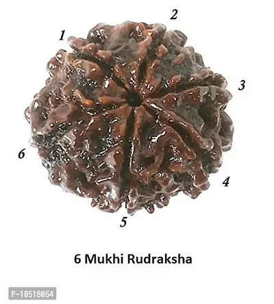 CHEZEL? 6 MUKHI Nepal RUDRAKSHA (6 Faced) Lab Certified Nepal Bead Sinks in Water for Unisex Wearing-thumb4