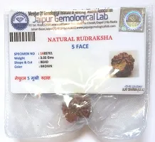 CHEZEL? 5 MUKHI Nepal RUDRAKSHA (5 Faced) Lab Certified Nepal Bead Sinks in Water for Unisex Wearing-thumb3