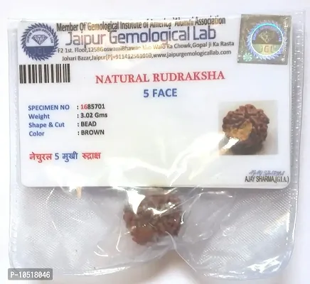 CHEZEL? 5 MUKHI Nepal RUDRAKSHA (5 Faced) Lab Certified Nepal Bead Sinks in Water for Unisex Wearing-thumb4