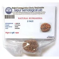 CHEZEL 2 Mukhi Lab Certified Rudraksha (Brown)-thumb2