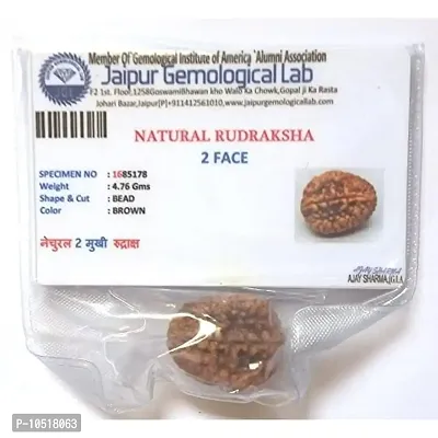 CHEZEL 2 Mukhi Lab Certified Rudraksha (Brown)-thumb3