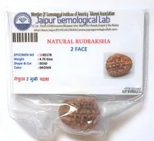 CHEZEL? Combo of 2 mukhi to 6 mukhi RUDRAKSHA lab Certified (Brown)-thumb2