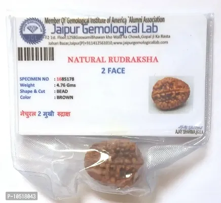 CHEZEL? Combo of 2 mukhi to 6 mukhi RUDRAKSHA lab Certified (Brown)-thumb3