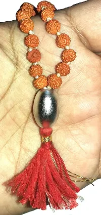 CHEZEL? Combo of Parad gutika Rasamani rudraksha mala 108 +1 with Lab Certified 6 mukhi rudraksha (Multicolor)-thumb2