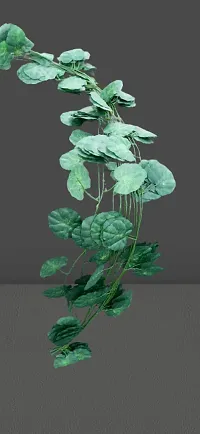 Artificial Green Money Plant Hanging, Artificial Leaves Creeper Leaf Vine Bonsai Artificial Plant, (245 cm, Green)