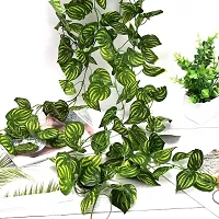 Artificial Money Plant Vine Decoration Green Anthurium Artificial Flower  (90 inch, Pack of 6, Vine  Creepers)-thumb2