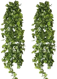 Artificial Money Plant Vine Decoration Green Anthurium Artificial Flower  (90 inch, Pack of 6, Vine  Creepers)-thumb3