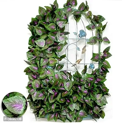 Pack of 12 Artificial Money Plant Vine | Home |Wall|Garden| Decoration Green Anthurium Artificial Flower  (90 inch, Vine  Creepers)